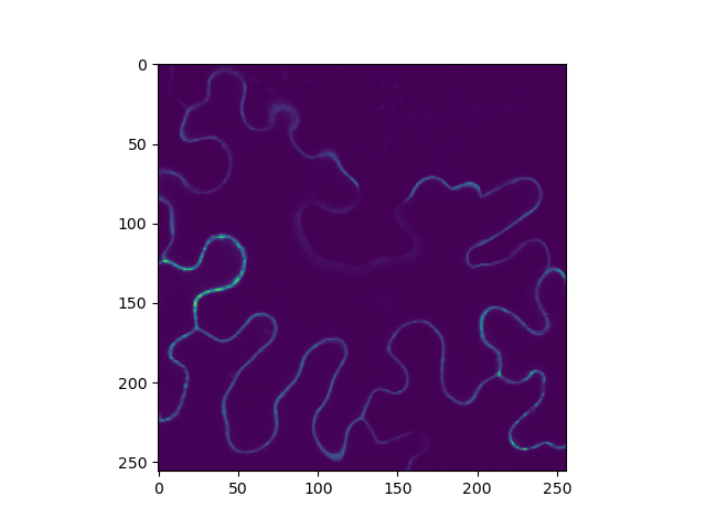 plot crop