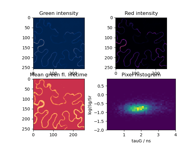 Green intensity, Red intensity, Mean green fl. lifetime, Pixel histogram