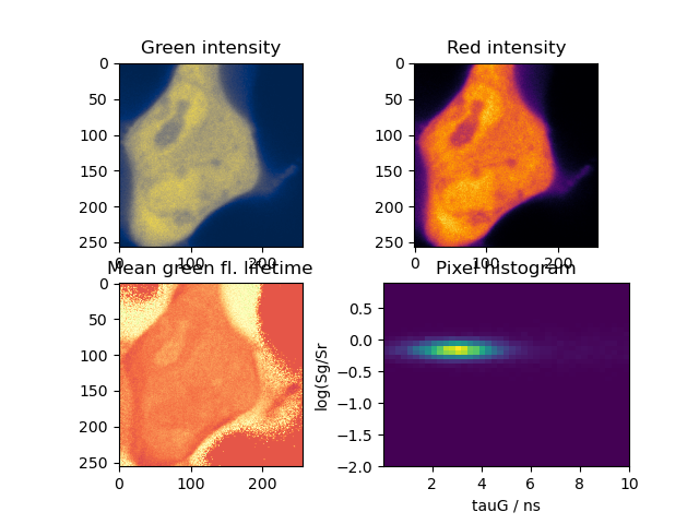 Green intensity, Red intensity, Mean green fl. lifetime, Pixel histogram