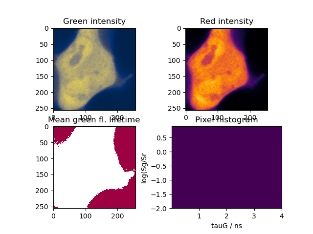 Green intensity, Red intensity, Mean green fl. lifetime, Pixel histogram