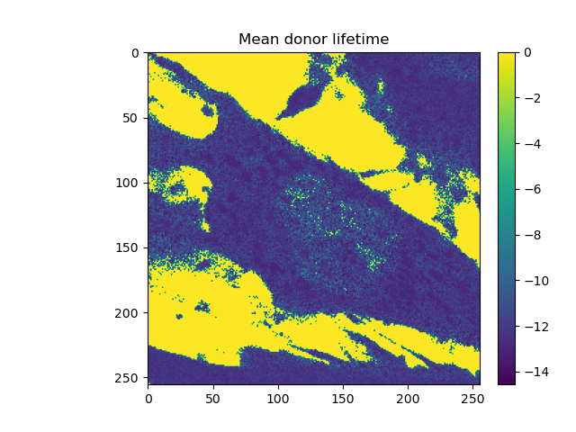 Mean donor lifetime