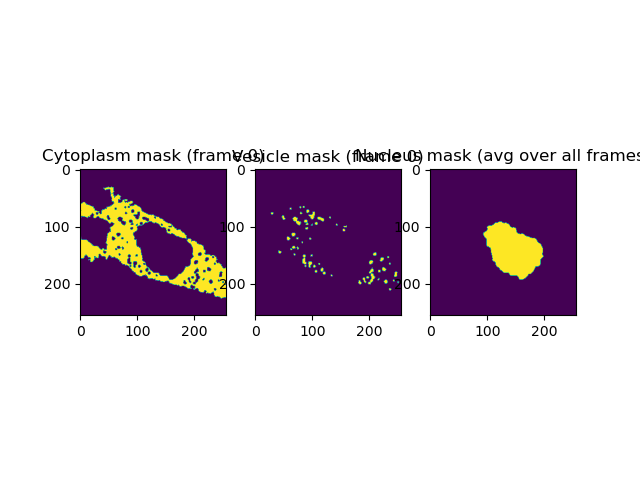 Cytoplasm mask (frame 0), Vesicle mask (frame 0), Nucleus mask (avg over all frames)